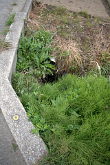 転落現場