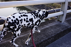 _IGP8491 _IGP8491