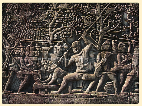 ser13