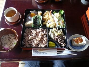 01�꿩��������