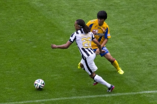 2835de2c.jpg