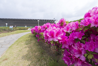 keiba170507_009