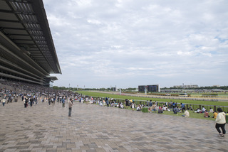 keiba160605_005
