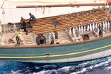 DSCF3052