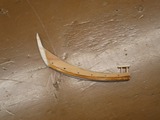 IMG_4864