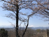 3982CAE9-AD80-4B17-9D1A-D82ED2AD4D51