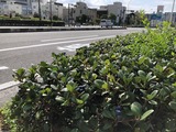 30F80962-5A13-4959-B1A9-0FA567E0D582