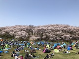 95DB3BC3-8CEB-450D-AE6F-9152F25C623B