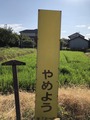 838DEAF8-C139-4AA9-B645-06A3F9582016