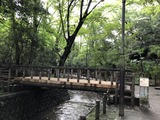 EE29C45E-CC99-4A7C-A780-AC01302FE079