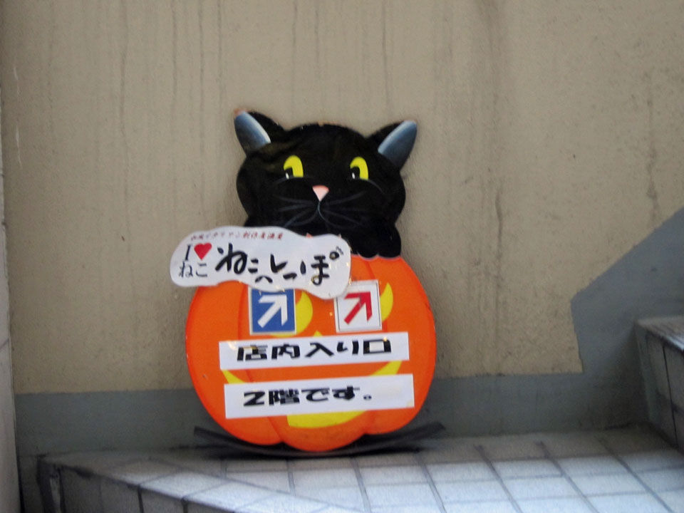 和風イタリアン創作料理 ねこのしっぽ>