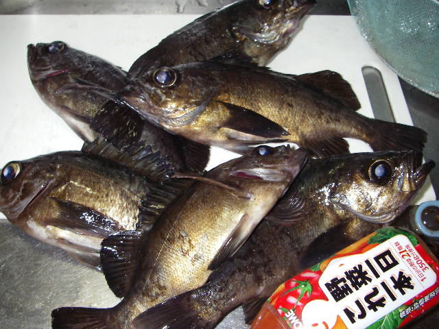 20070325