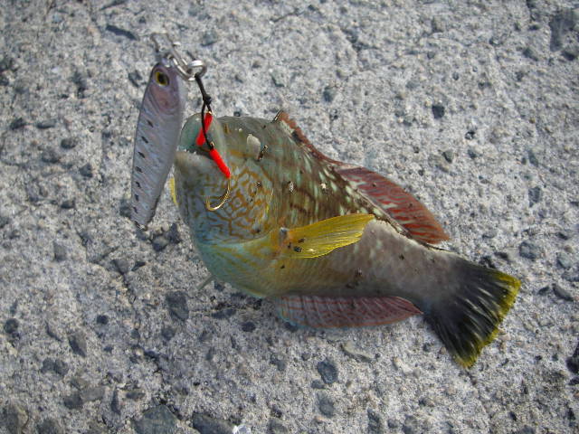 20060828¥Ù¥é