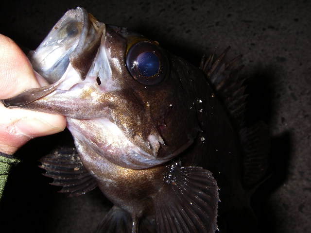 20060304
