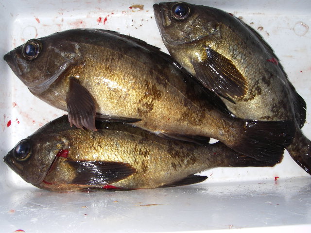 20070327