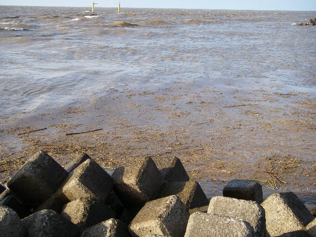 20060719ÆüÌîÀî07