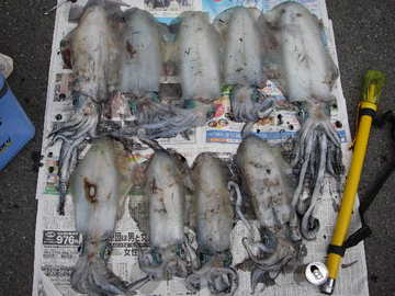 20080501