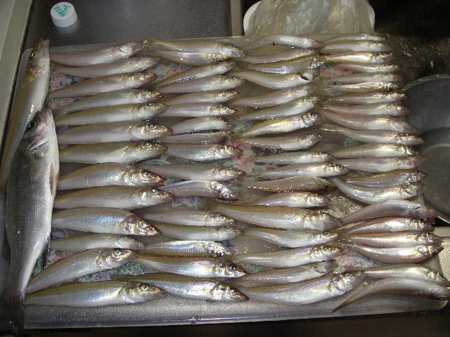 20060618