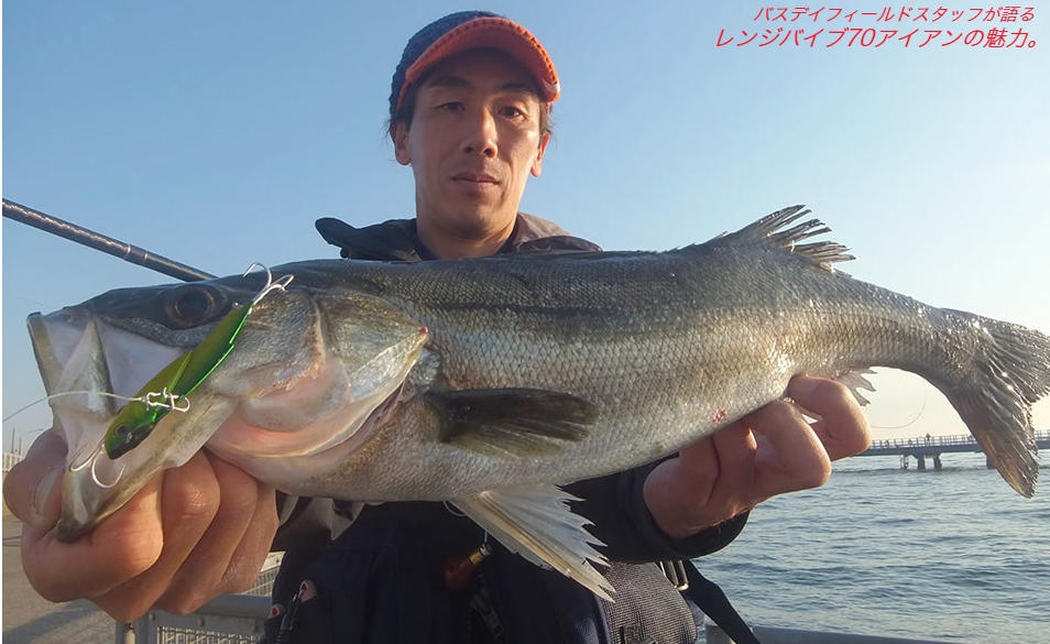 sakai1