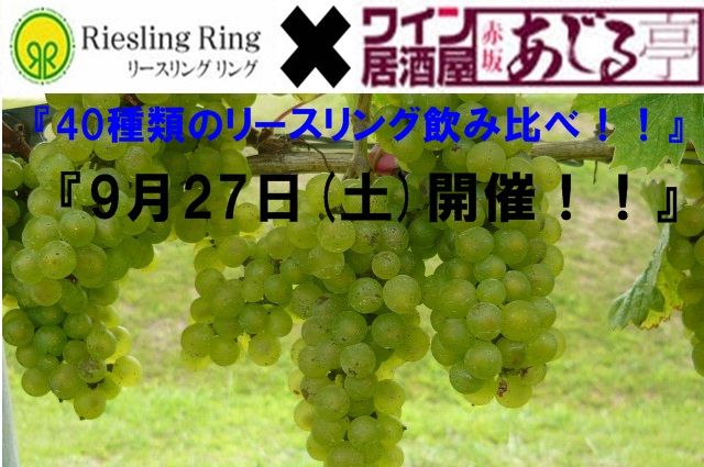 img76885794