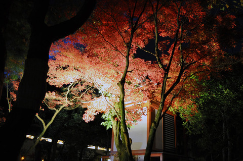 京都市東山区清水寺 (52)bl