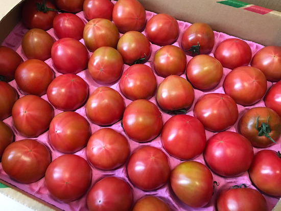 tomato02