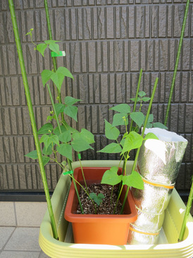20120626