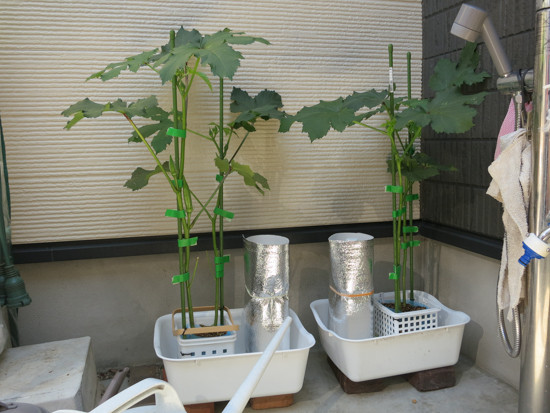 20120614-1