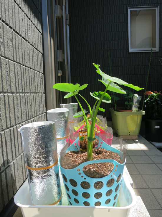 20120626-2