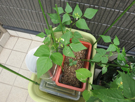 20120703-1