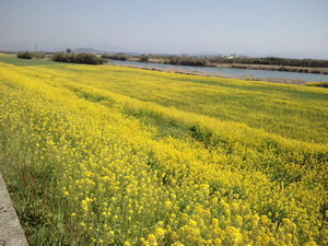 CA3I0115