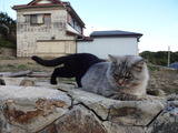 DSC01178