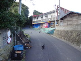 DSC01174