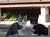 DSC01319