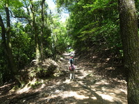 DSC01016