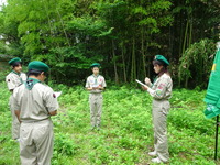 DSC01061