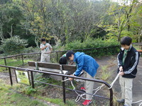 DSC00007