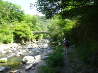 DSC01012
