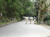 DSC00013