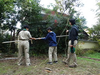 DSC00084