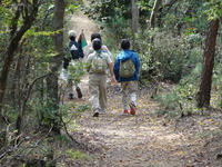 DSC00017