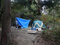 DSC00382
