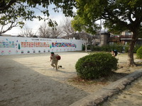 DSC00333
