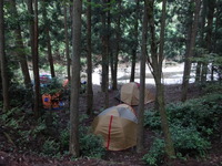 DSC00996
