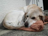DSCN2593