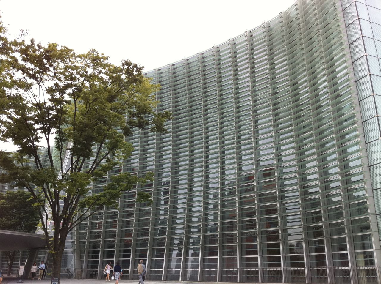 安原麗子 の掲示板投稿写真＆画像