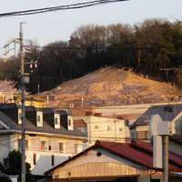 ikeba yama