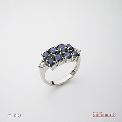 pt-sapp-ring-100517