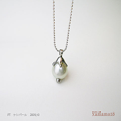 pt-paerl-pen-09.10