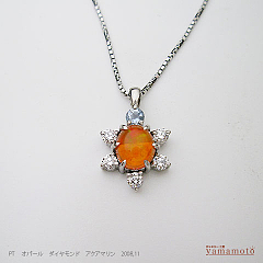 PT-OPAL-PEN-08.11